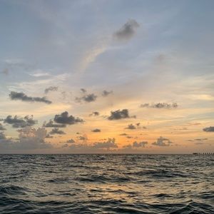 Meet your Posher, Joy